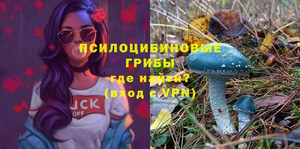 стафф Аркадак