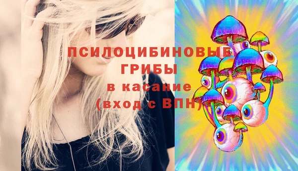 Альфа ПВП Армянск