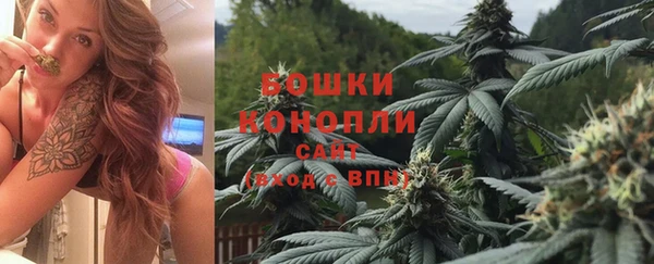 стафф Аркадак